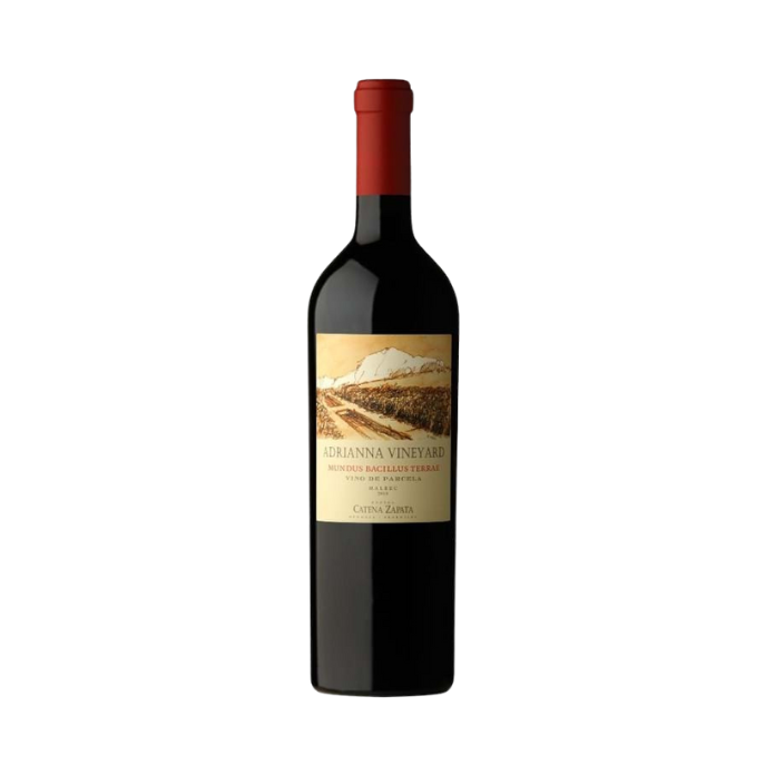 Adrianna Vineyard ‘Mundus Bacillus Terrae’ Malbec 2019