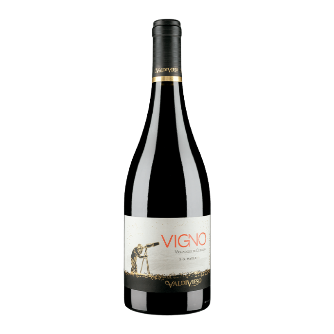 Valdiveso Eclat VIGNO Carignan 2019