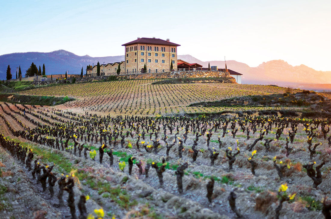 Understanding the Art of Aging Rioja Wine: A Journey Through Time