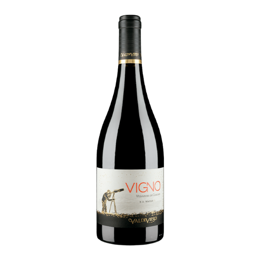 Valdiveso Eclat VIGNO Carignan 2019