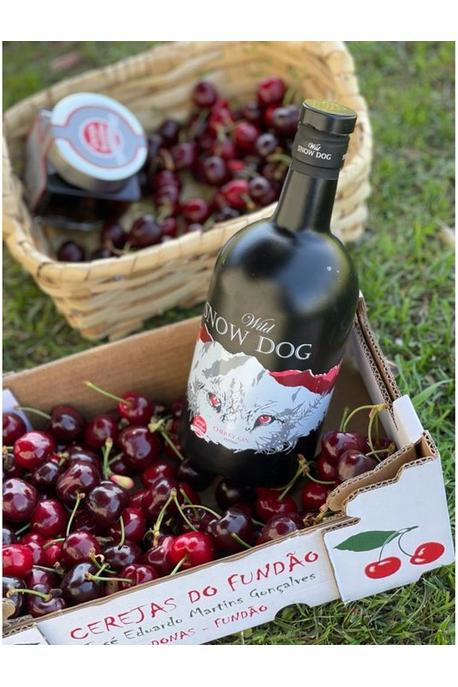 Wild Snow Dog Cherry Gin 42% 700ml at a picnic